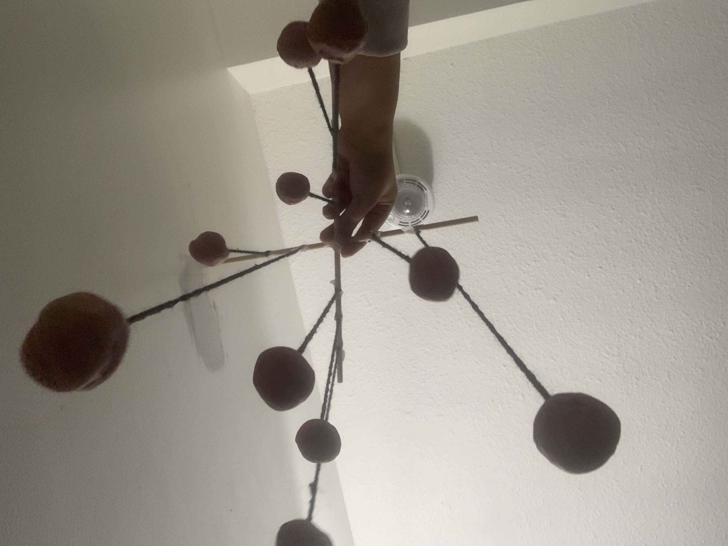 Archive Project 15